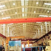 LDA type electric single beam crane