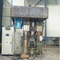 J58-300T electric press