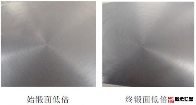 高低倍组织1