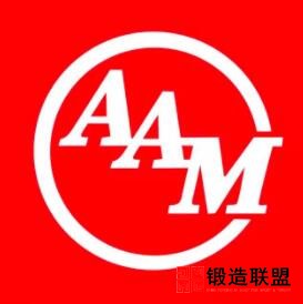 美国车桥LOGO