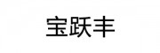 宝跃丰