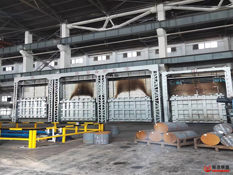 天然气蓄热式室式炉-800