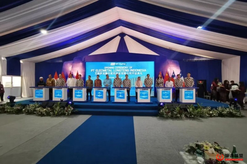 龙腾特钢印尼工厂2